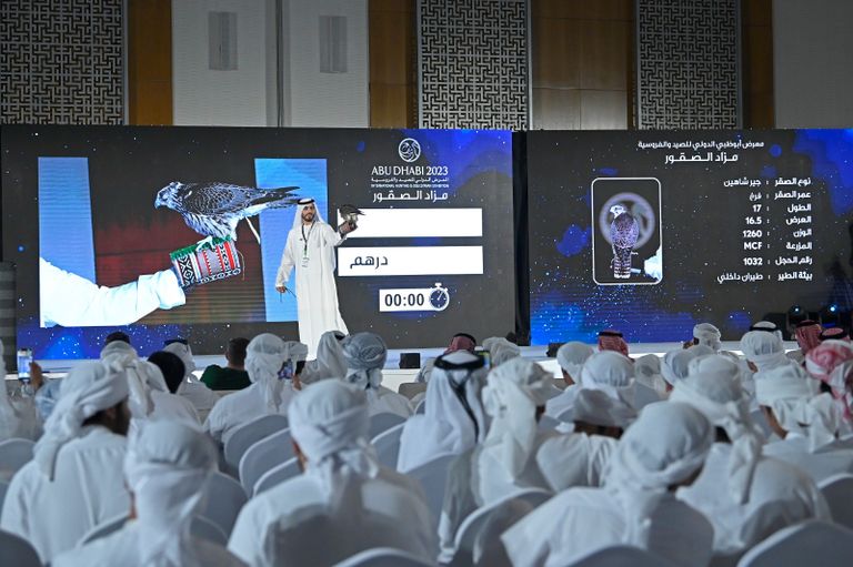 جانب من الفعاليات