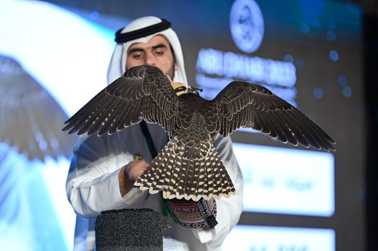 جانب من الفعاليات