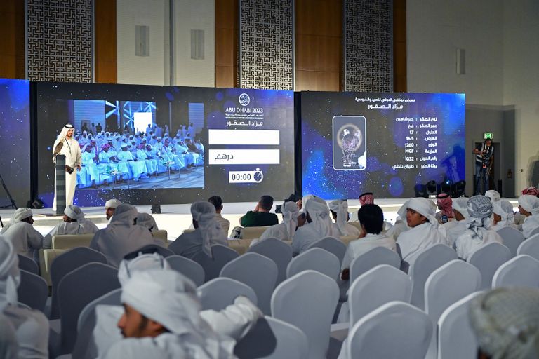 جانب من الفعاليات