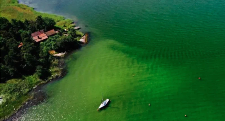 تغير المناخ سبب محتمل لفقدان المحيطات لونها الأزرق