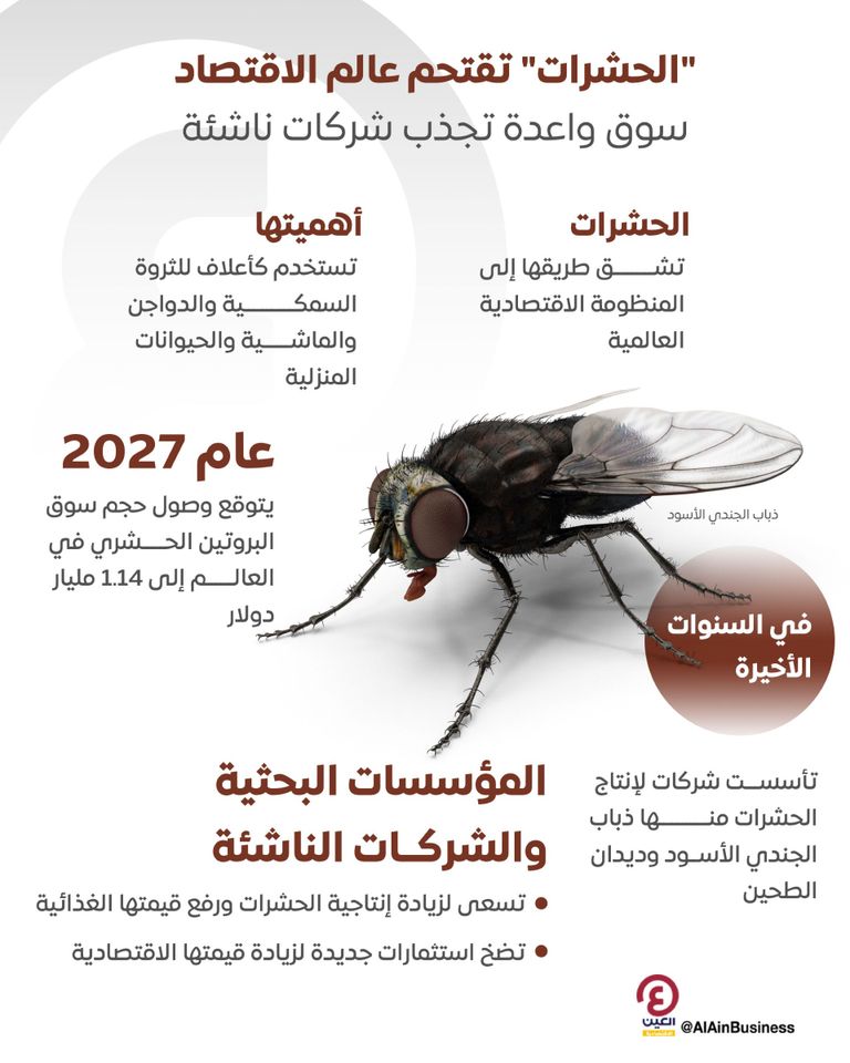 الحشرات مفيدة اقتصاديا