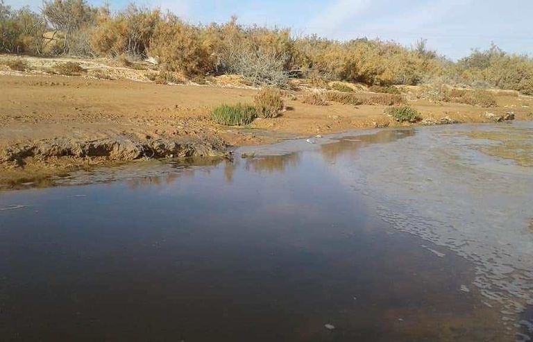 محمية عين دكوك