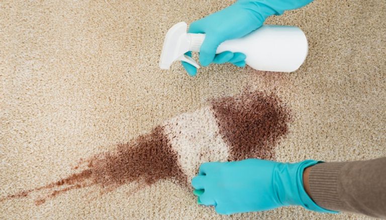 تنظيف السجاد في المنزل تنظيف السجاد في المنزل