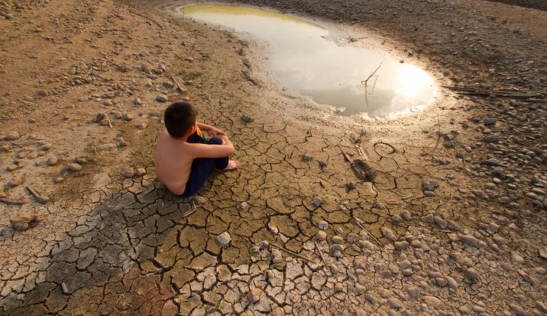 الجفاف يهدد غذاء العالم العربي العاصفة دانيال حولت مدينة درنة الليبية لأطلال