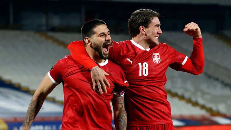 فلاهوفيتش وميتروفيتش ألكسندر ميتروفيتش لاعب الهلال السعودي