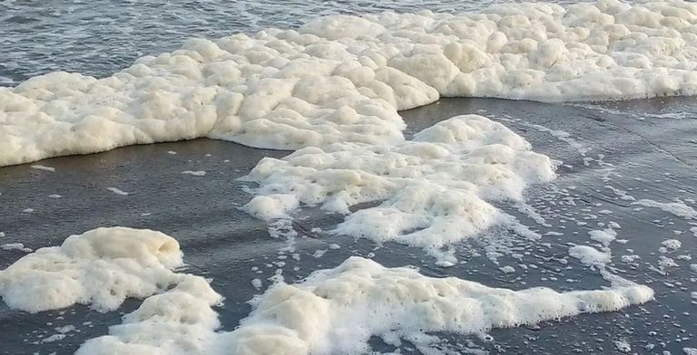 كتل بيضاء على الشاطئ