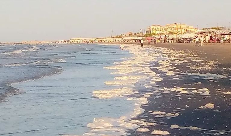 كتل بيضاء على الشاطئ