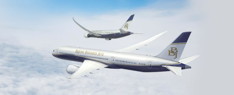 غرفة نوم في إحدى الطائرات لعشاق الرفاهية