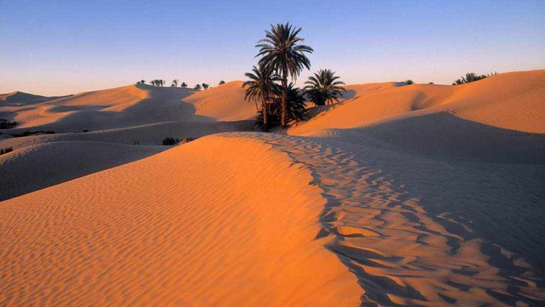 جزيرة جربة