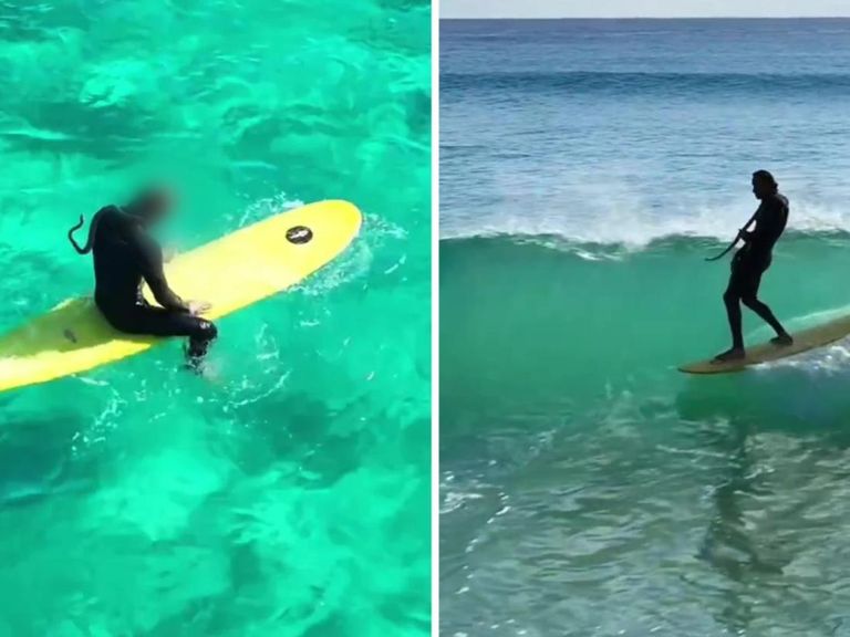 ثعبان- أرشيفية