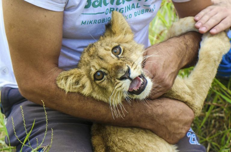 أفراد من الشرطة الصربية
