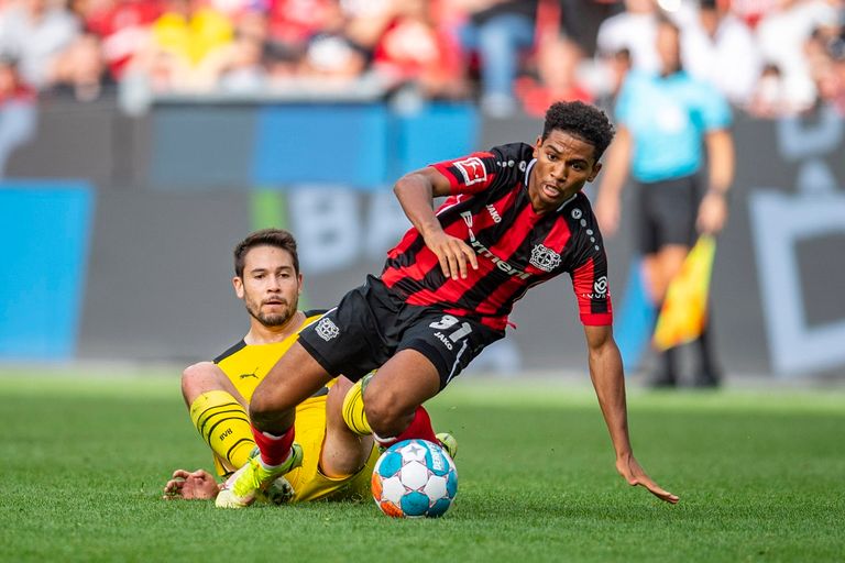 أمين عدلي أمين عدلي