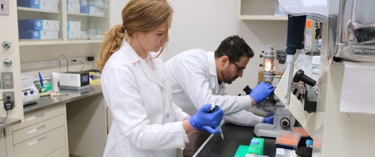 اليوم العالمي لأبحاث السرطان