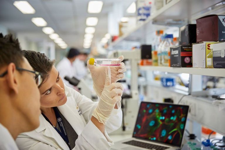 اليوم العالمي لأبحاث السرطان