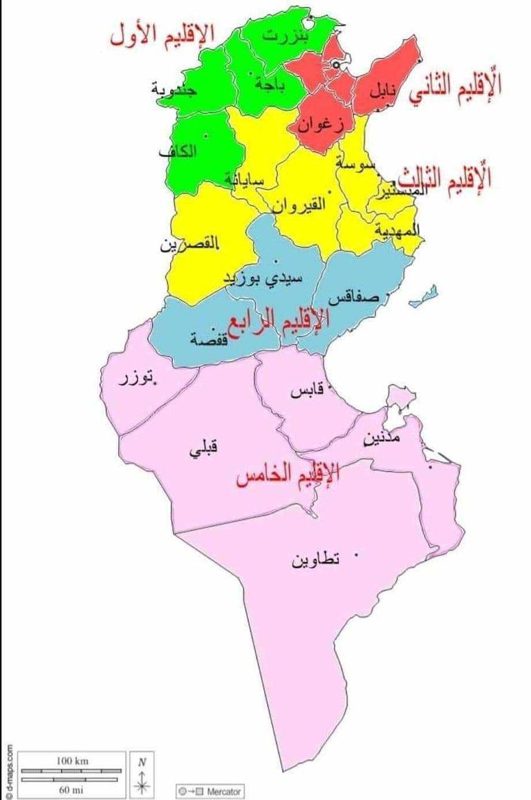 الرئيس التونسي قيس سعيد - أرشيفية