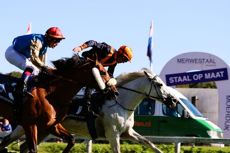 كأس رئيس دولة الإمارات للخيول العربية