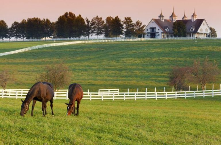 عشر ولايات أمريكية غير محظوظة في تصنيف WalletHub