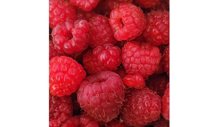 فوائد عصير التوت عصير التوت