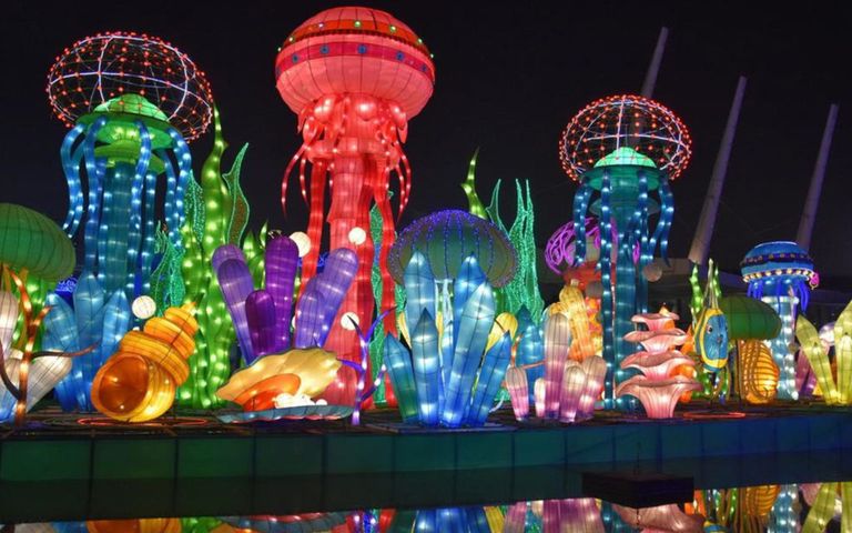 حديقة دبي جاردن جلو أحد أفضل أماكن رومانسية في دبي أماكن رومانسية للزيارة في دبي للأزواج