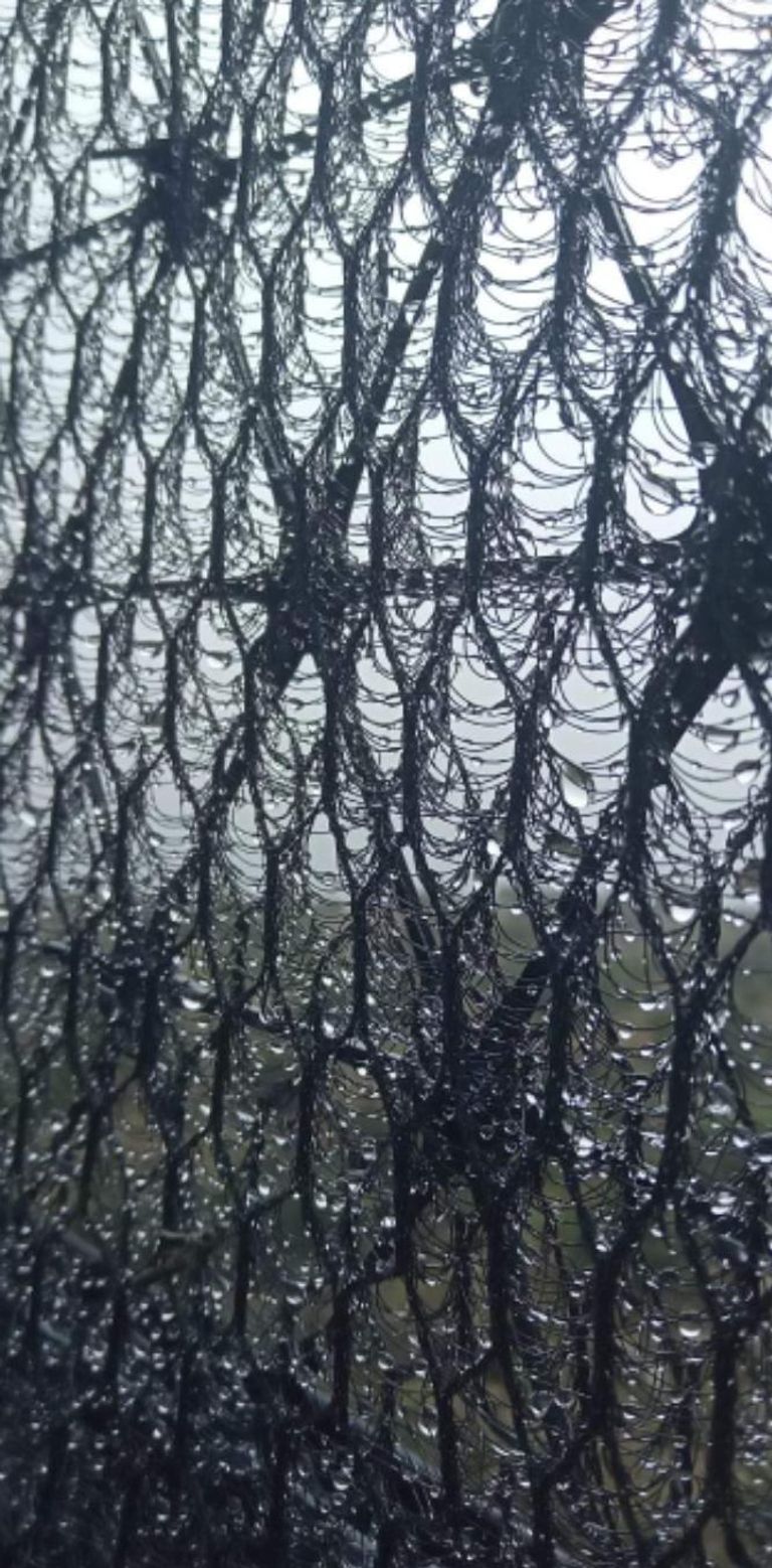 حصد الضباب يروي عطش سكان دواوير الجنوب