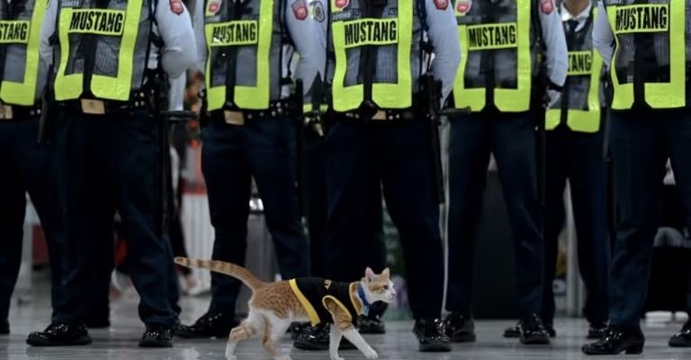 حارس أمن يحمل قطا أمام سلسلة وجبات سريعة في مانيلا