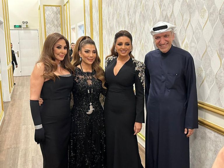 عمرو دياب في حفل دبي