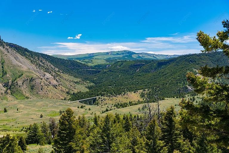 حديقة يلوستون الوطنية أحد أفضل وجهات السفاري زيادة الوعي بضرورة حماية البيئة يؤدي إلى الإضرار بسمعة رحلات السفاري الجماعية