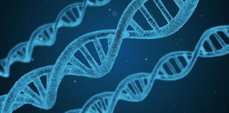 ارتفع عدد الكواكب المكتشفة إلى 5500 كوكب