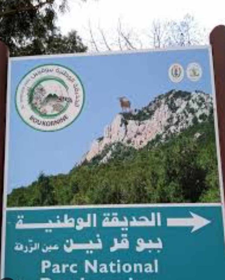 الحديقة الوطنية ببوقرنين