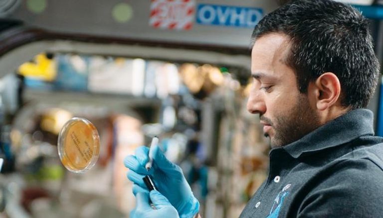 سلطان النيادي