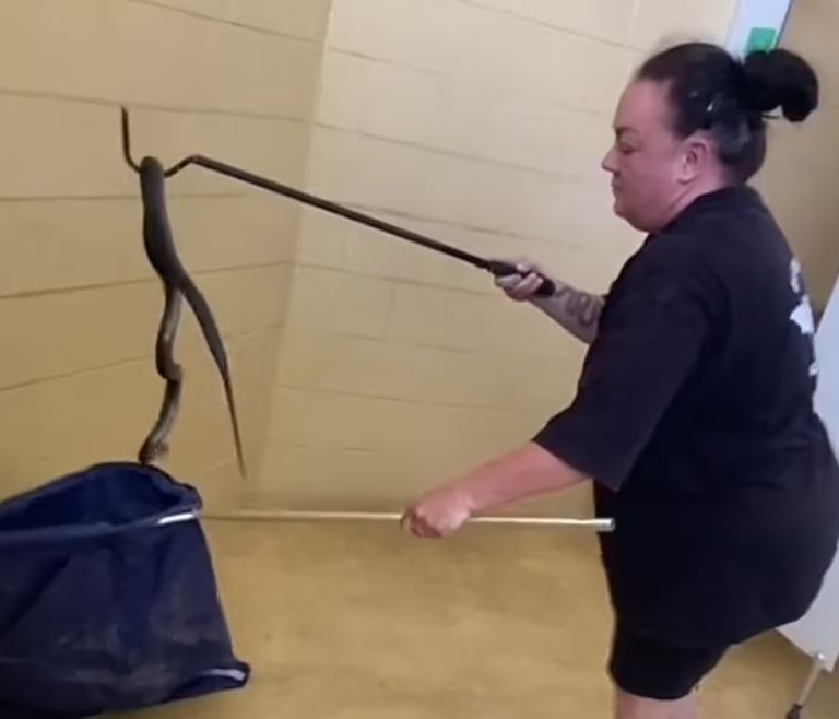 لحظة استخراج الثعبان