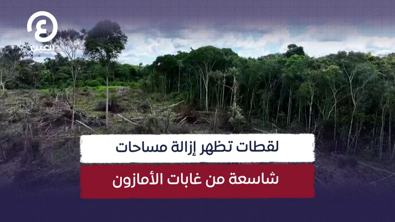 تزايد الغطاء الأخضر في غابات الأمازون بفعل تغير المناخ