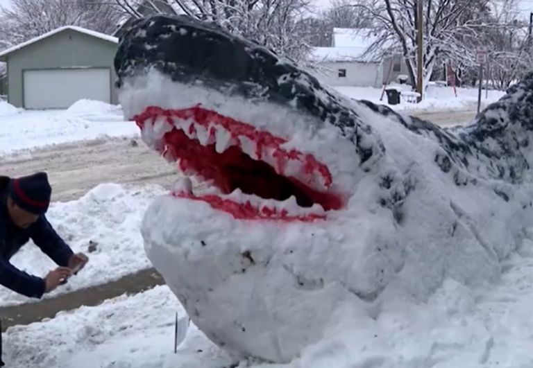 سمكة قرش - أرشيفية