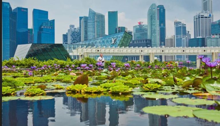 سنغافورة تستكشف الحلول لمواجهة آثار تغير المناخ