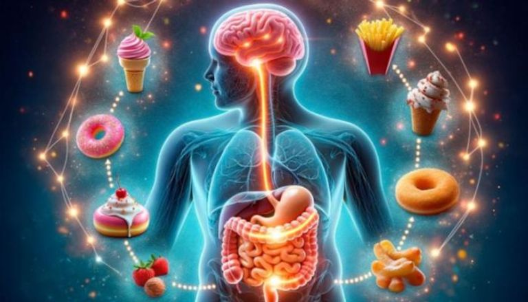 اكتشاف الدوائر العصبية وراء الرغبة الشديدة في تناول الأطعمة غير الصحية