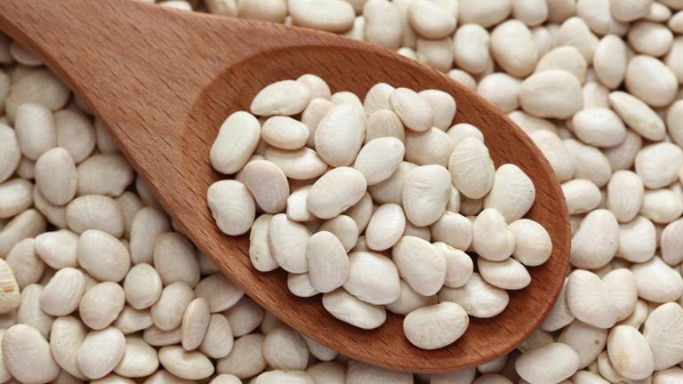 الفاصوليا البيضاء الأطعمة الغنية بالألياف