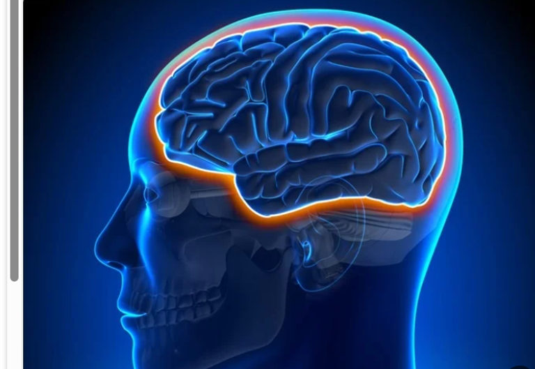 اختراق الحاجز الدموي للدماغ يبشر بعلاجات جديدة