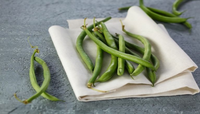 تخزين الفاصوليا الخضراء تخزين الفاصوليا الخضراء