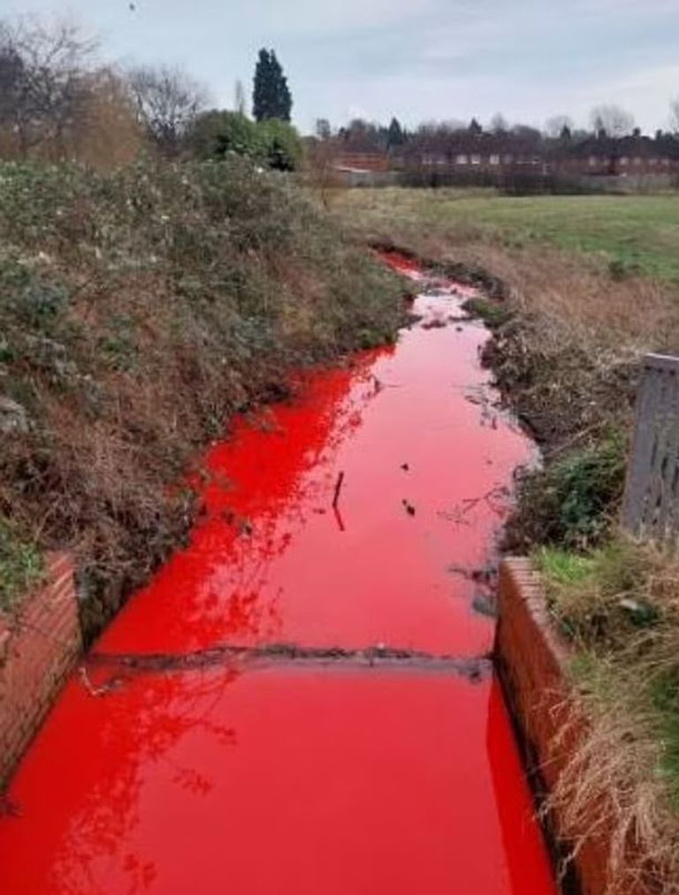 نهر دموي في بريطانيا