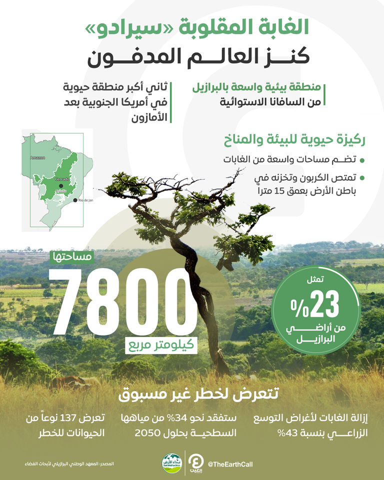 منطقة سيرادو بالبرازيل