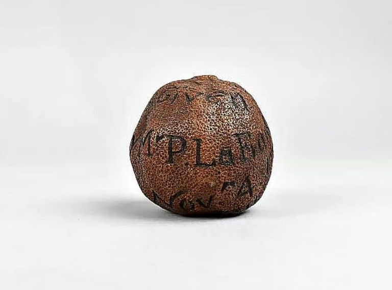 ليمون - أرشيفية