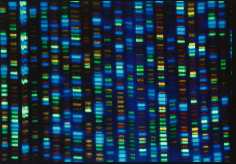 رسم خريطة الجينوم البشري، كان له تأثير كبير على علم الأحياء وغيره من المجالات