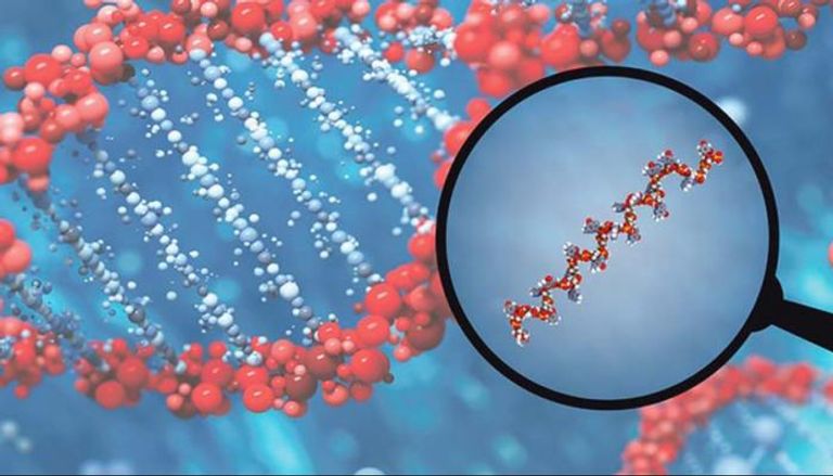 الميكرو  RNA