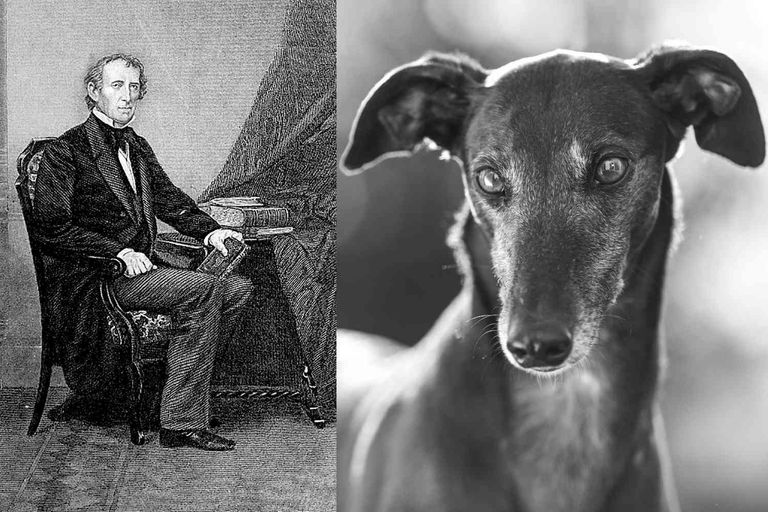 حيوانات في البيت بالأبيض