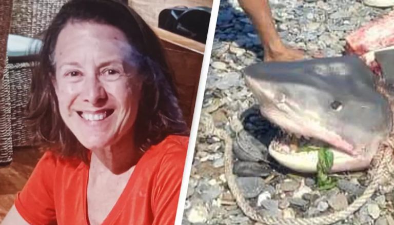 هجوم سمكة قرش على امرأة في إندونيسيا هجوم سمكة قرش على امرأة في إندونيسيا