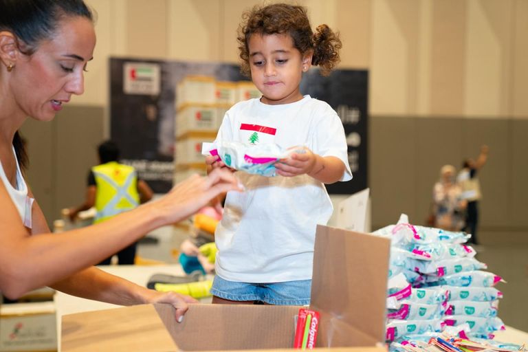المساعدات الإماراتية إلى لبنان