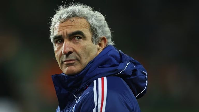 ريمون دومينيك