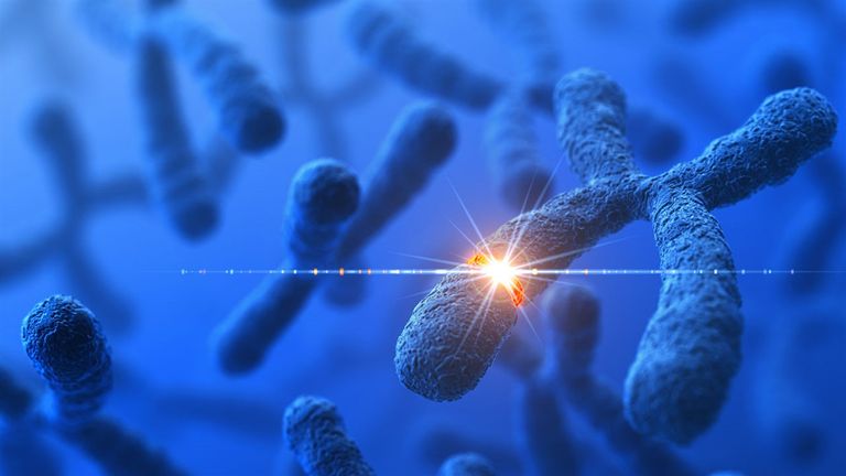 النظام الغذائي ليس العامل الوحيد للحياة الصحية