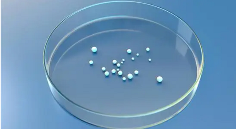 النماذج الدماغية المزروعة في المختبر تساعد في فهم تطور الخرف