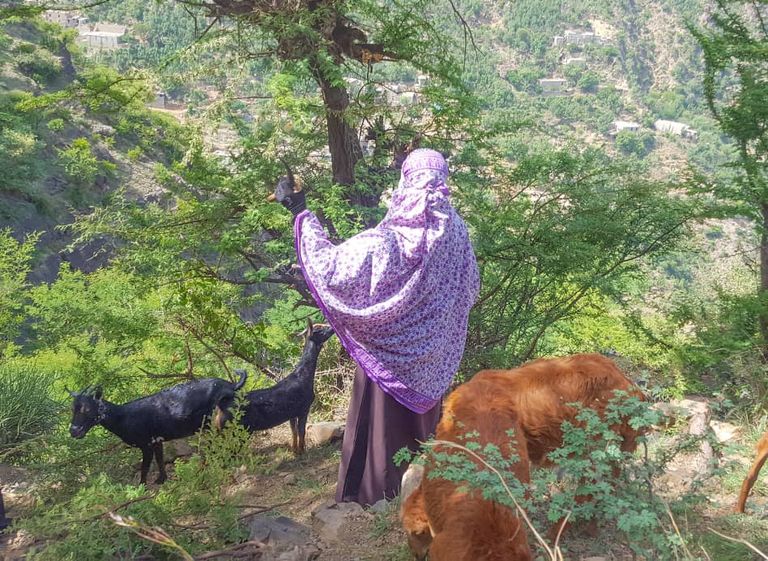 المرأة اليمنية تواجه صعوبة الحياة بالعمل